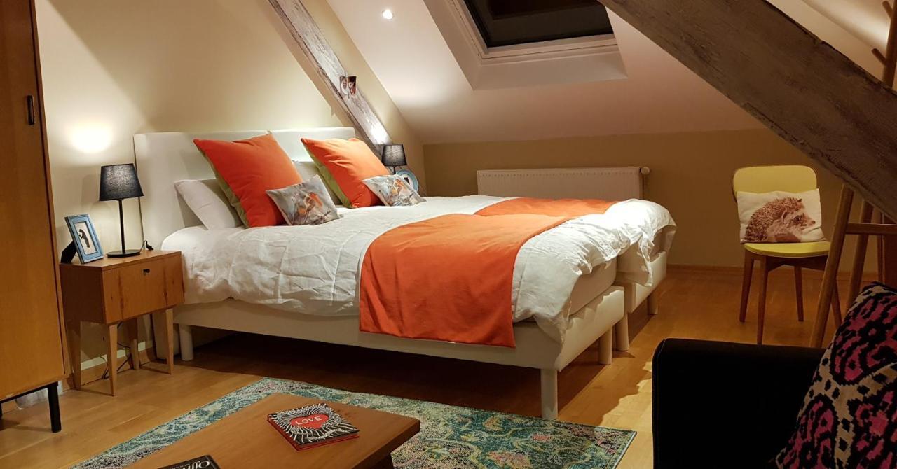 La Chouette Maison - Chambres D'Hotes Et Gite En Ville 勒米尔蒙 外观 照片