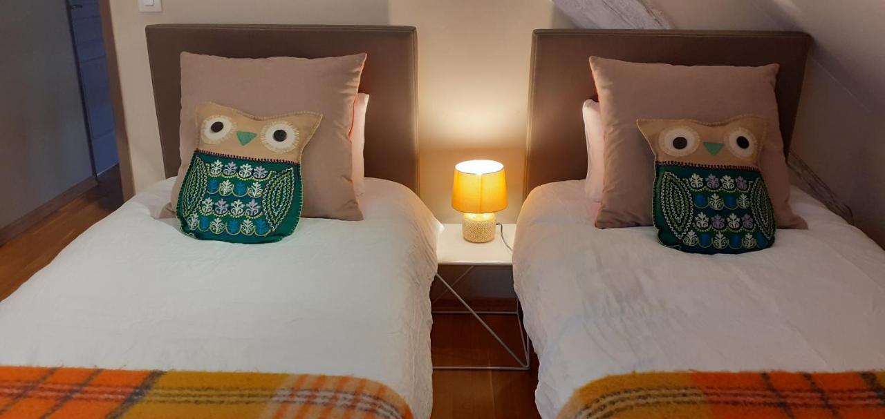 La Chouette Maison - Chambres D'Hotes Et Gite En Ville 勒米尔蒙 外观 照片