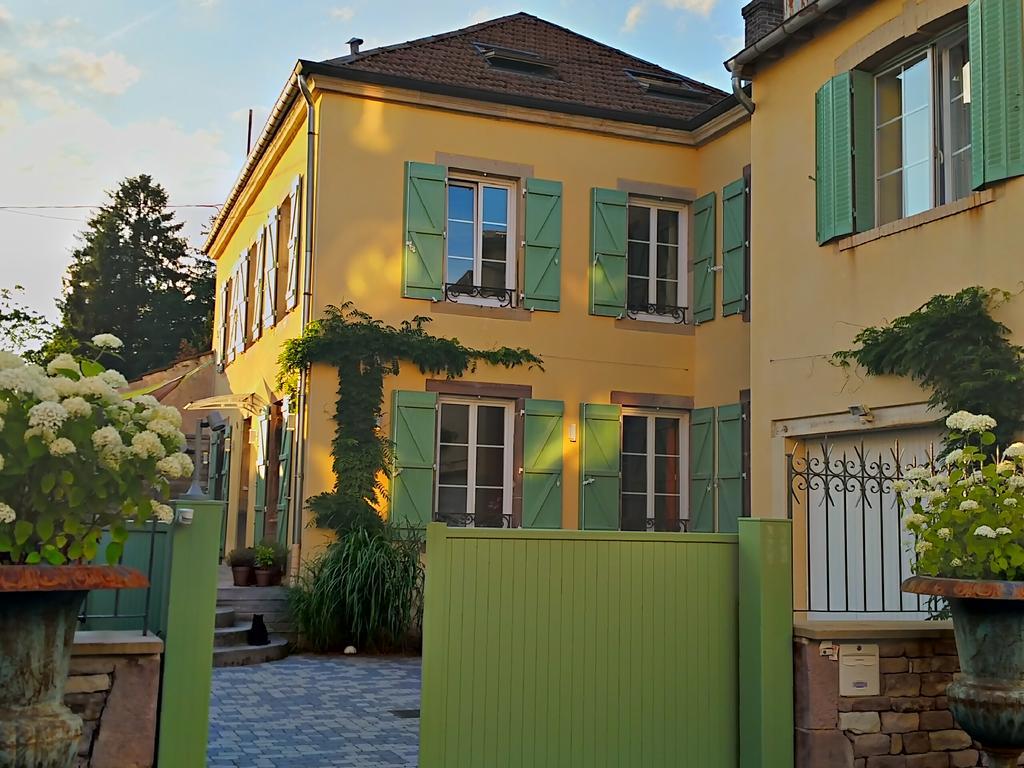 La Chouette Maison - Chambres D'Hotes Et Gite En Ville 勒米尔蒙 外观 照片